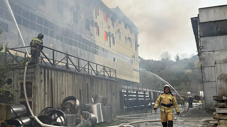 ����� � �������� ����: ���������� ��� ��������, ��� ��������