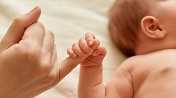 ���� � ����: ���������, �������� �� 34-� ������, ��������� � �������