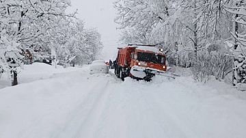 ����� ���������� ������ �� ������: ����, �������, ������, ������ - ������ �������� ����