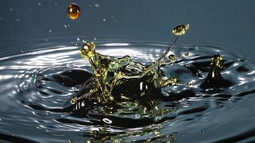 ������ �� ���������! 80 ���� ��-95 ��������� ����� �� ��������