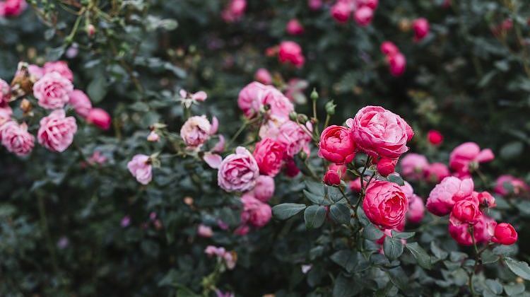 ����, � ������, ��� ����: ��� ����� �������� ����, ��� ������� � ��������� ���������