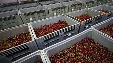 ������� ��������� ��������: ������� ����� �������� ���������