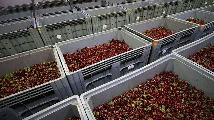 ������� ��������� ��������: ������� ����� �������� ���������