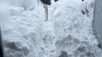 �� ������ � ����� �� ������� ���� ��� ���� � ����� ������ ����! ������������� ��� ���������, � ���� ����