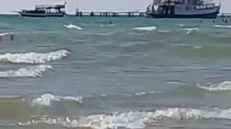 ��������� ����� ������ �����: ������� � ����� ��������� ������������ ��������