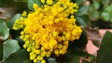 �� ������ ������� ����� �� ������, �� �������� ����� � ����� �� �������