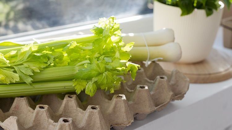 ������ � �������: ������ ������� ���� ��������� ������ ���������