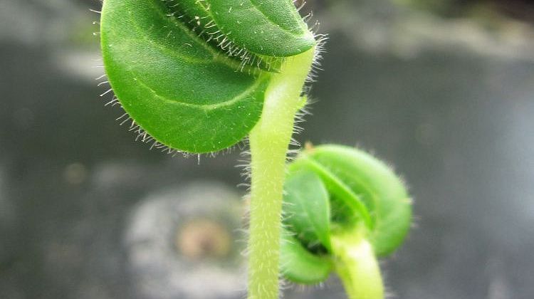 ����������� � �� �����������: ���, ��� �� ������ �������� ��� ���� �����