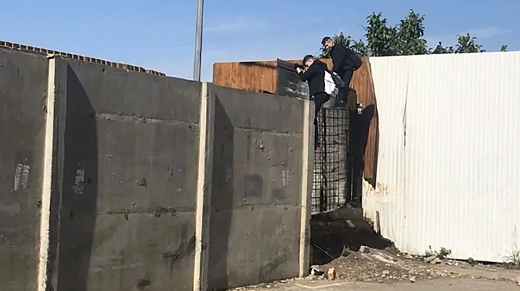 ��������� ���� � �����������: ��� ����������� ������ ���� ����� �� �� �������� ������