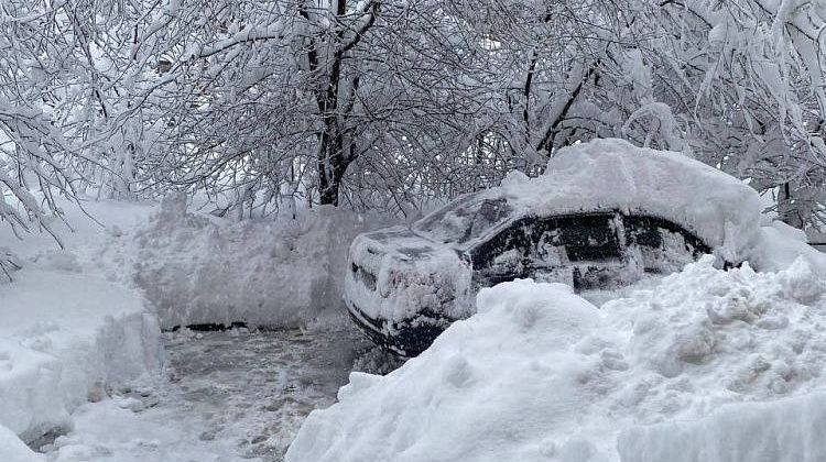 �� ������ � ����� �� ������� �������� ����� ��: ��� ����� � ���� ������ �����  