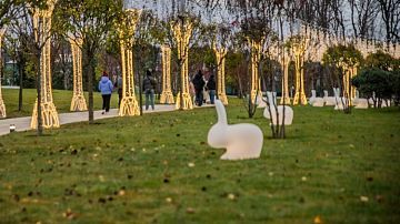 ���� �������