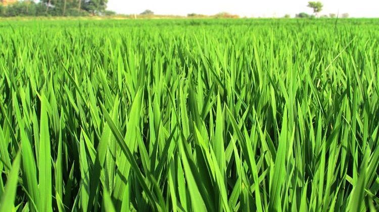 ��������� �������: ����� ����� � ����� � ������! ��� �������� ������? 