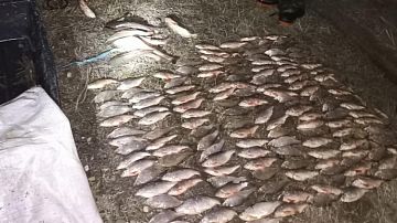 �� ������ ������� ����� �����������: �������� ���� �� 4,4 ��������