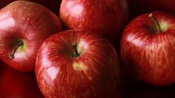 ���������� �������� ����������� �����������? ������ � � ����� ��������� �����