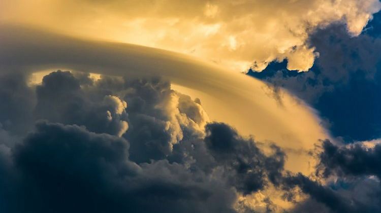 ������������� ����� �� �� ������! ���������, ������, ��������� ��������� ���� � ������ � ����������� �� �������������