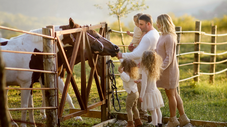 ��������, ���������� � ���������: ��� ������� �� ��������� � ����������