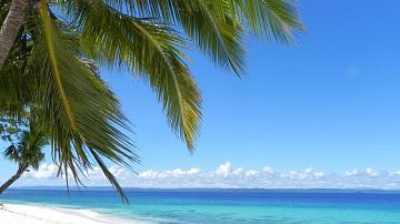 ���� �� �������: ����������� ������� ������ � �������� �����, ��������� ����� ������ � ���