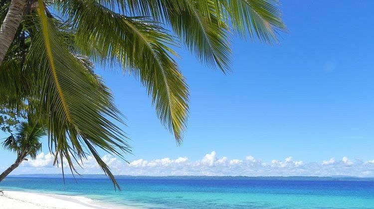 ���� �� �������: ����������� ������� ������ � �������� �����, ��������� ����� ������ � ���