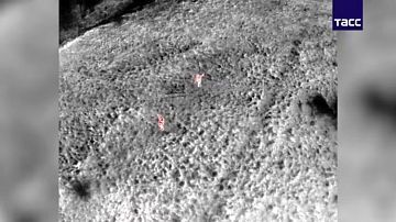 ����� �� ���� ���! ��� ��� ���������� ����� ��������-����� � ����