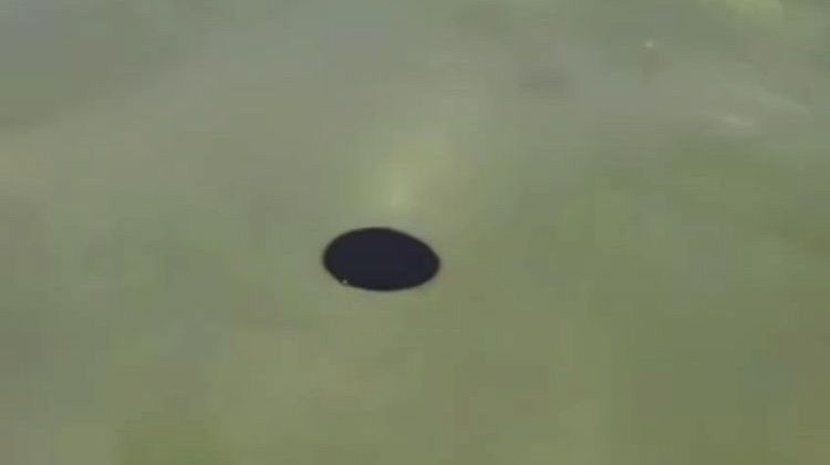 !  ,   :      ,  