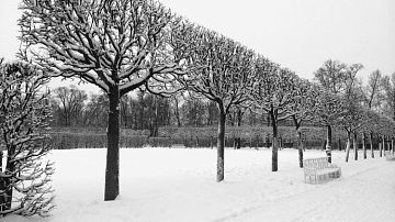 ����������� �� ����� �� ������: ����� � ������ �������� ����������� �������