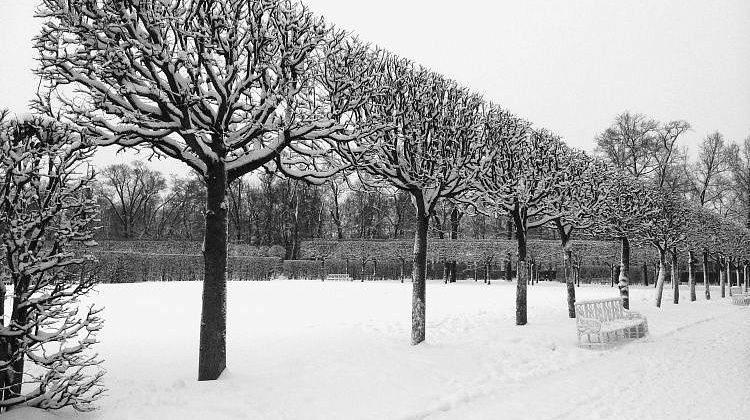 ����������� �� ����� �� ������: ����� � ������ �������� ����������� �������