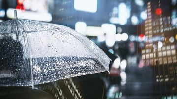 ������ ����� �������! ������� ������ � ������ ��� ��������� ������