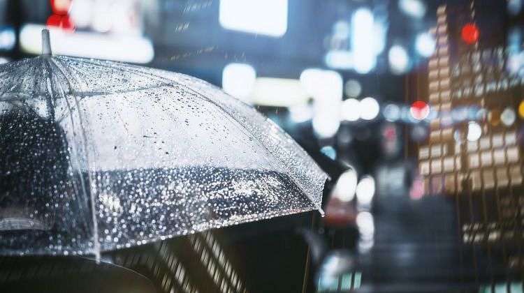 ������ ����� �������! ������� ������ � ������ ��� ��������� ������