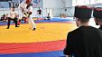 Турнир по рукопашному армейскому бою 