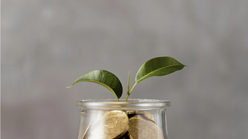 12 ������� � ���: ��� ����� �������� �������� �������������� �����