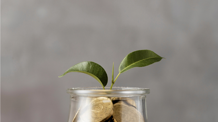 12 ������� � ���: ��� ����� �������� �������� �������������� �����