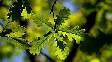 � ������� ����� ��������������� �� ������ ������� 4000 ��������