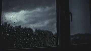 ������ ����� � �����������: �������� ����� �� ������� � ������������ 