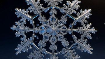 ����������, ����������� ������� ������! �� ������ ������ ���������� �������