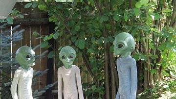 ������� ��� �����������! ��� ����� ������������ �����?