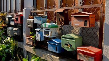 ����� ������ ���������� ������ �� ������: �����������