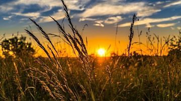 �������� ����� �� ������: ������������ ��� ������� 