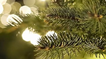 ��� ��������� ���������� ����� ����, ����� ��� ������ �����