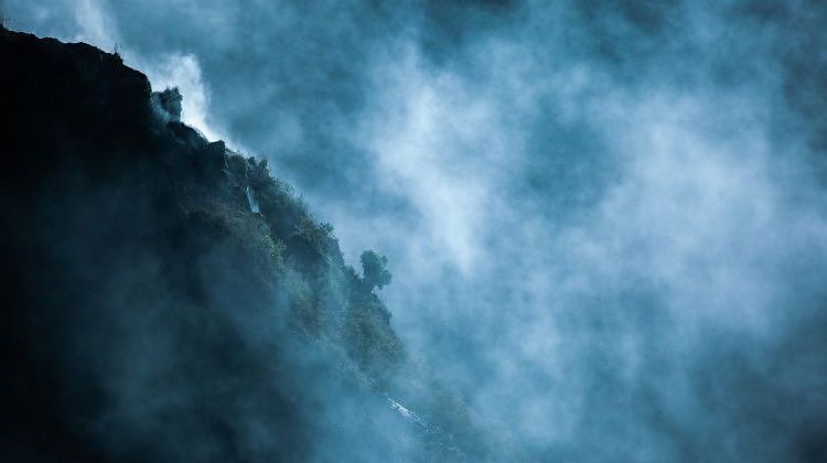 ������ � ���� �����: ����� ������ ���� ������ ��������� � ���������������