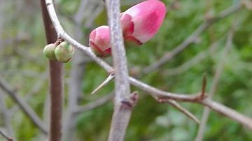 ���� ���������?! ������ ������� ����� ��������� ��������