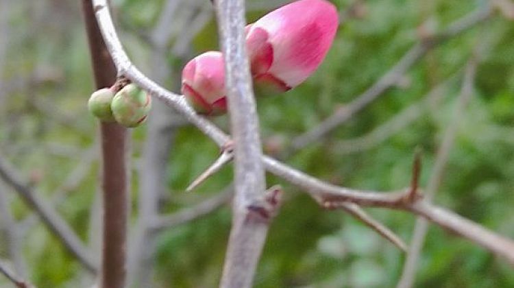 ���� ���������?! ������ ������� ����� ��������� ��������