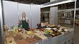 В Краснодаре открыта и работает «Кубанская ярмарка- Весенняя» В Краснодаре открыта и работает «Кубанская ярмарка- Весенняя»