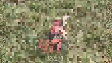    ,   :     