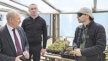 ������ ��������. ���� ����� � � ���� � ���� ���������