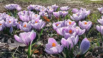  ����� ���� ������� �� �����! ��� ������� �������� ��� ������ 