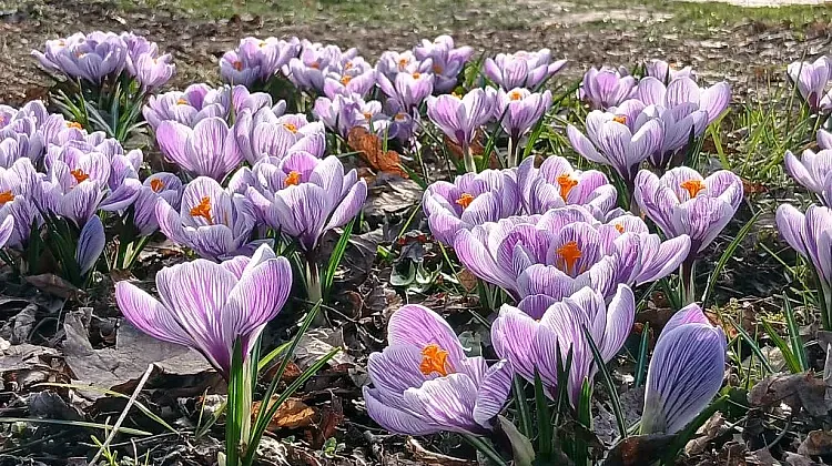  ����� ���� ������� �� �����! ��� ������� �������� ��� ������ 