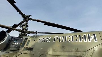 Запрет поставок на 90 дней! Мощный ход или политический блеф: что задумал Трамп 