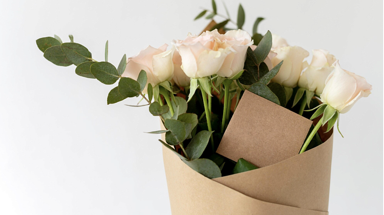 ��� ������� ��������� �����: ���� ������� � �������� ����