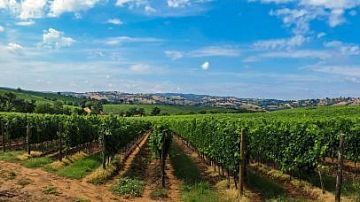 ������ ������, ��������� ������ ���������