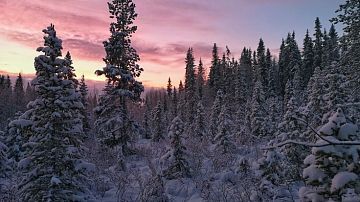 ��������� ����� �����������! �� �� ���������� ��������: ��� ��������� � ���� ������ ��������